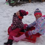 phoca_thumb_m_bobovn 29.1.18  28 Fotogalerie